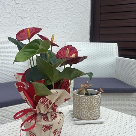Appartamento Giardini Naxos Butterflies Home Schiso Εξωτερικό φωτογραφία